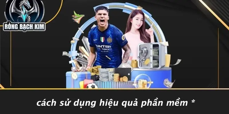 Cách Sử Dụng Hiệu Quả Phần Mềm *