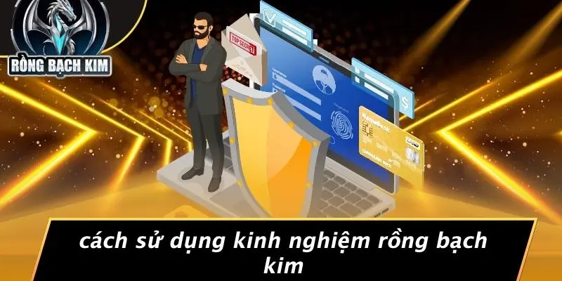 Cách Sử Dụng Kinh Nghiệm Rồng Bạch Kim