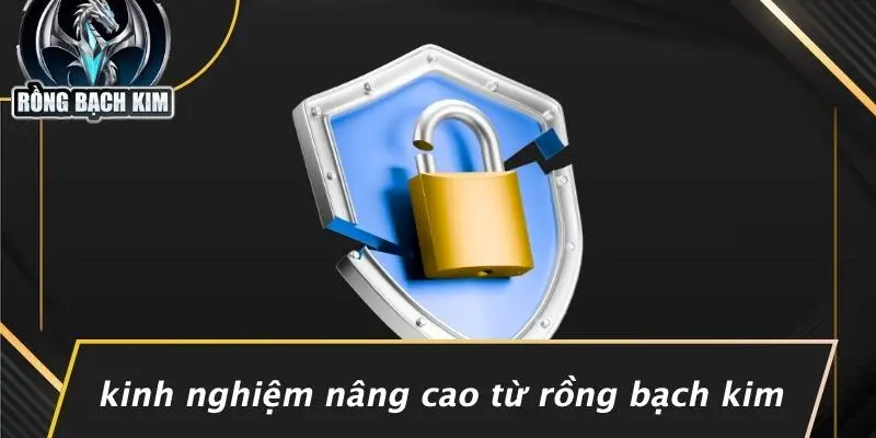 Kinh Nghiệm Nâng Cao Từ Rồng Bạch Kim