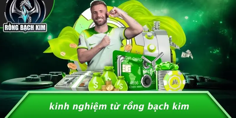 Kinh Nghiệm Từ Rồng Bạch Kim