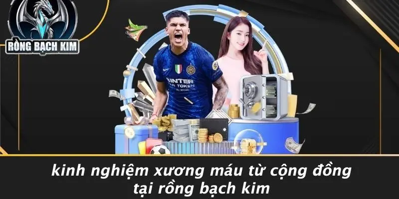 Kinh Nghiệm Xương Máu Từ Cộng Đồng Tại Rồng Bạch Kim