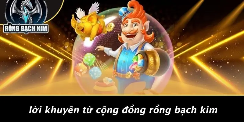 Lời Khuyên Từ Cộng Đồng Rồng Bạch Kim