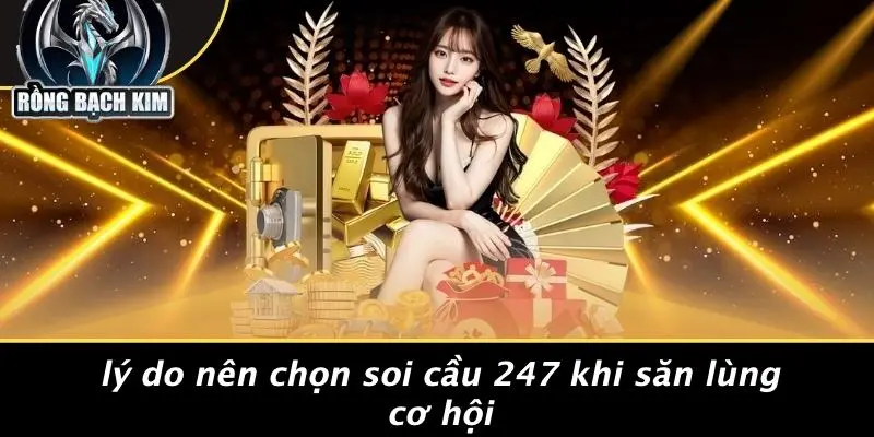 Lý Do Nên Chọn Soi Cầu 247 Khi Săn Lùng Cơ Hội