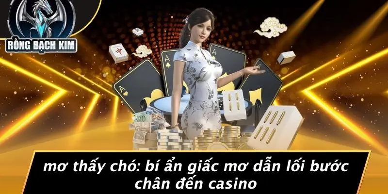 MƠ THẤY CHÓ: BÍ ẨN GIẤC MƠ DẪN LỐI BƯỚC CHÂN ĐẾN CASINO