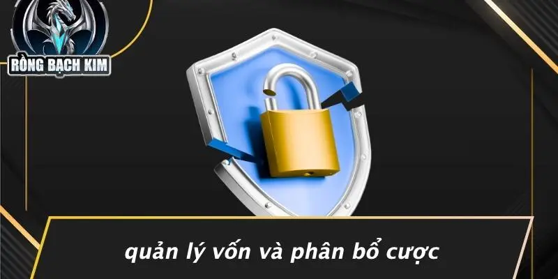 Quản Lý Vốn Và Phân Bổ Cược