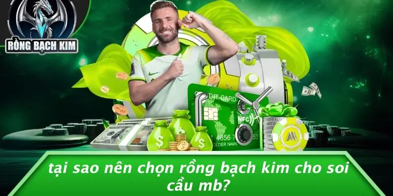 Tại Sao Nên Chọn Rồng Bạch Kim Cho Soi Cầu MB?