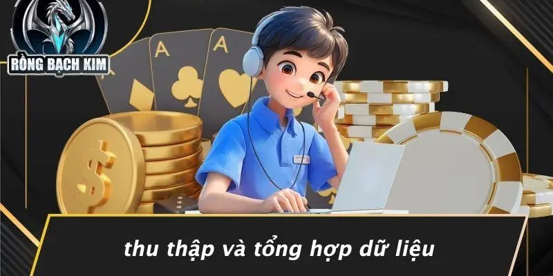 Thu Thập Và Tổng Hợp Dữ Liệu