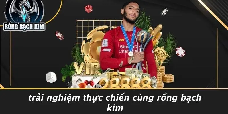 Trải Nghiệm Thực Chiến Cùng Rồng Bạch Kim