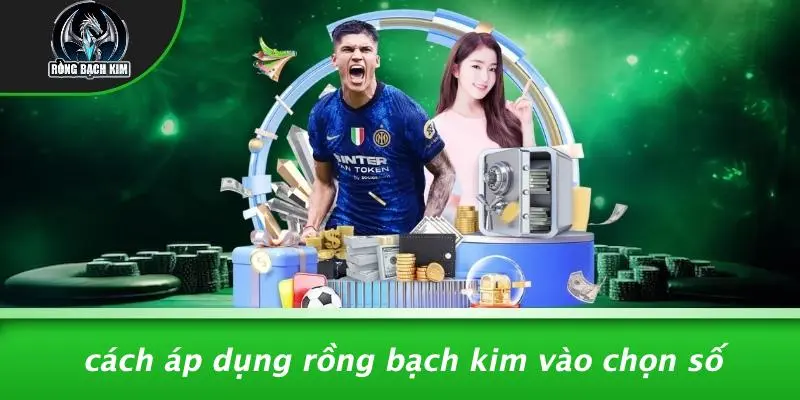 Cách Áp Dụng Rồng Bạch Kim Vào Chọn Số