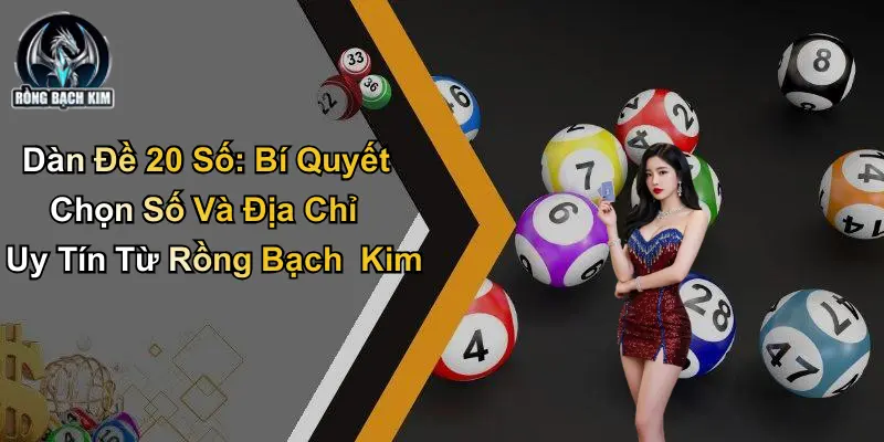 Dàn Đề 20 Số: Cách Chọn Số Và Địa Chỉ Uy Tín Rồng Bạch Kim