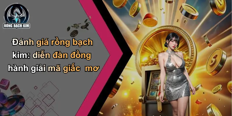 Đánh giá rồng bạch kim: diễn đàn đồng hành giải mã giấc mơ