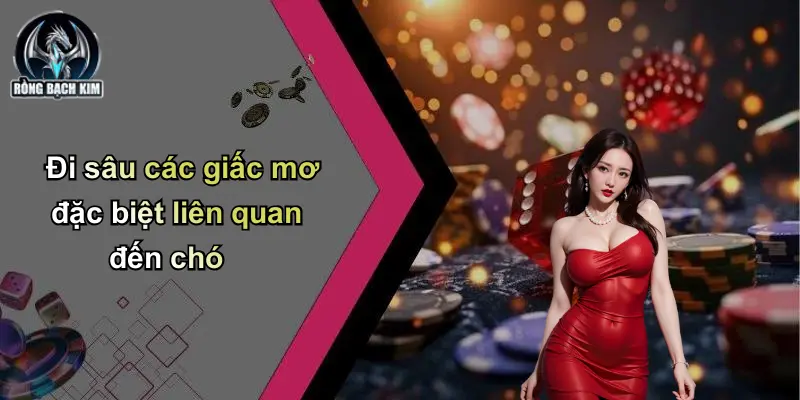 Đi sâu các giấc mơ đặc biệt liên quan đến chó