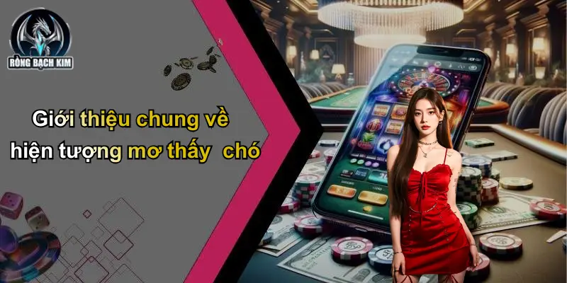 Giới thiệu chung về hiện tượng mơ thấy chó