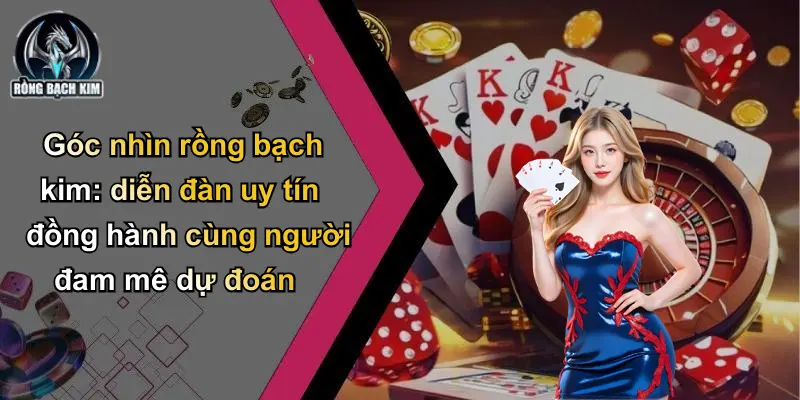 Góc nhìn rồng bạch kim: diễn đàn uy tín đồng hành cùng người đam mê dự đoán
