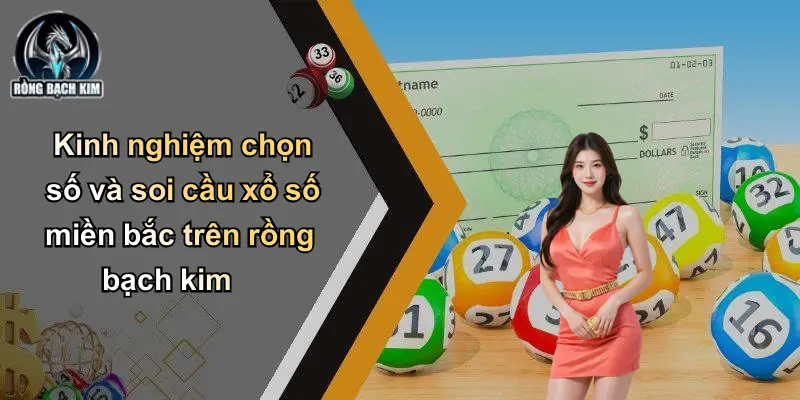 Kinh nghiệm chọn số và soi cầu xổ số miền bắc trên rồng bạch kim