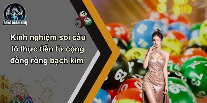 Kinh nghiệm soi cầu lô thực tiễn từ cộng đồng rồng bạch kim