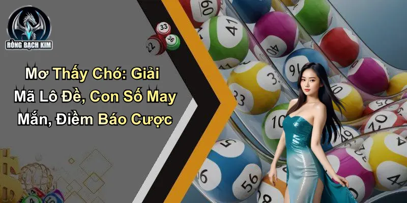 Mơ Thấy Chó: Giải Mã Lô Đề, Con Số May Mắn, Điềm Báo Cược