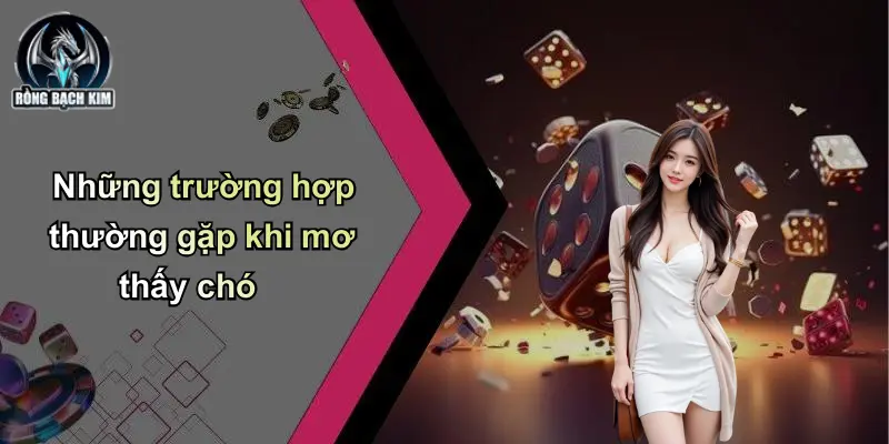 Những trường hợp thường gặp khi mơ thấy chó
