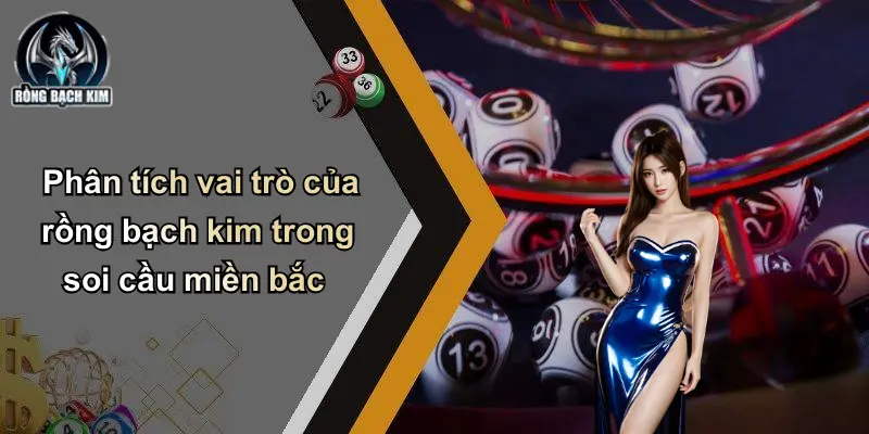 Phân tích vai trò của rồng bạch kim trong soi cầu miền bắc