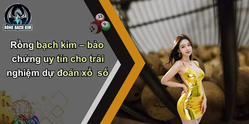 Rồng bạch kim – bảo chứng uy tín cho trải nghiệm dự đoán xổ số