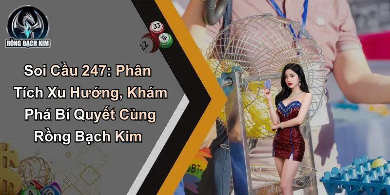 Soi Cầu 247: Phân Tích Xu Hướng Bí Quyết Cùng Rồng Bạch Kim