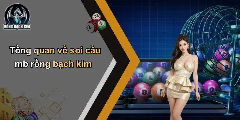 Tổng quan về soi cầu mb rồng bạch kim