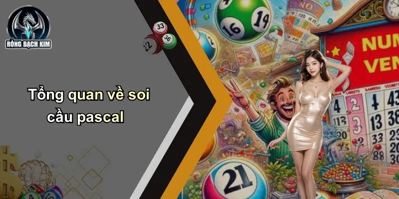 Tổng quan về soi cầu pascal