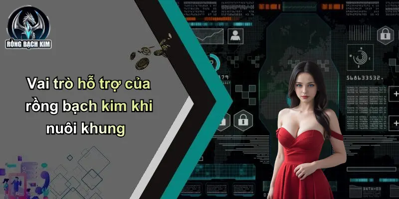 Vai trò hỗ trợ của rồng bạch kim khi nuôi khung