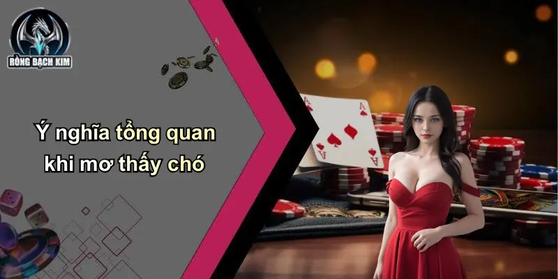 Ý nghĩa tổng quan khi mơ thấy chó