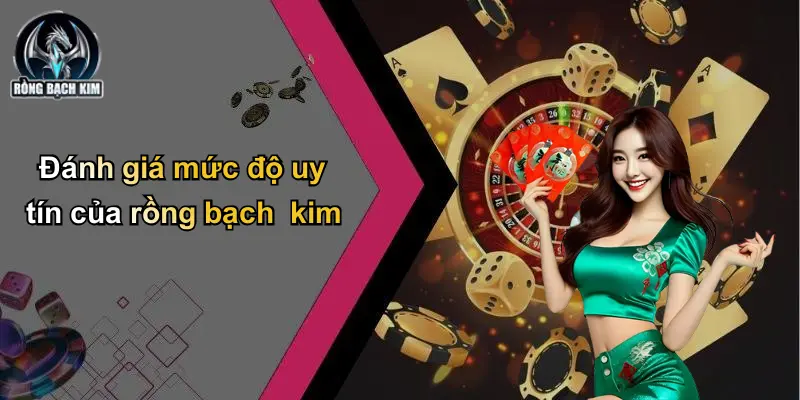 Đánh giá mức độ uy tín của rồng bạch kim