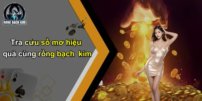Tra cứu sổ mơ hiệu quả cùng rồng bạch kim