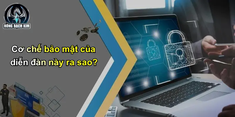 Cơ chế bảo mật của diễn đàn này ra sao?